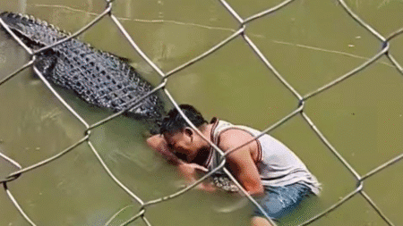 The tourist claimed he thought the crocodile was a statue because it wasn't moving, so climbed in for a selfie (ViralPress)