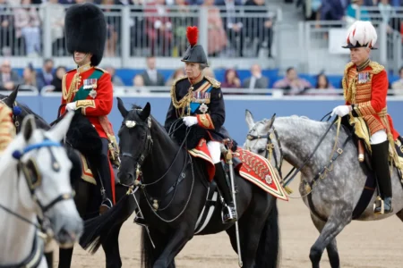 Princess Anne has been rushed to the hospital after suffering head injuries and a concussion. AP
