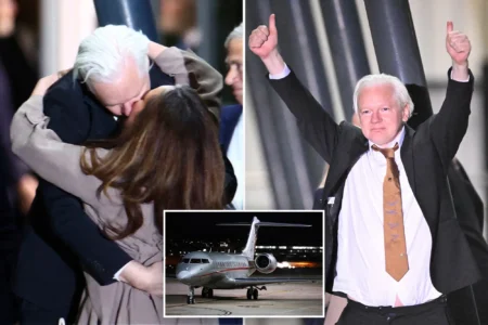Assange 3