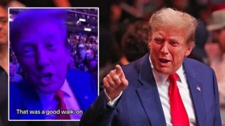 He received huge standing ovation at UFC game despite his felony convictions this week (Picture: TikTok)