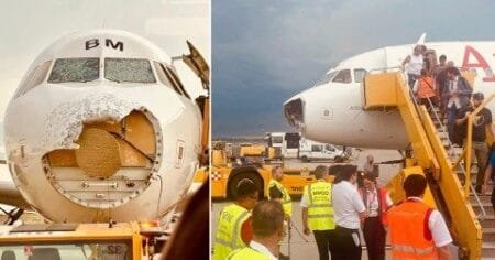 Emergency services met the wrecked plane after it safely landed in Vienna (Picture: @exithamster/X.com)