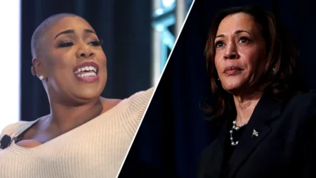 Ex-Kamala Harris aide Symone Sanders-Townsend suggested she had a bad experience working for the vice president. (Screenshot/MSNBC)