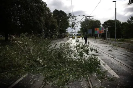 0 230824stormtree33475919172929732838webp