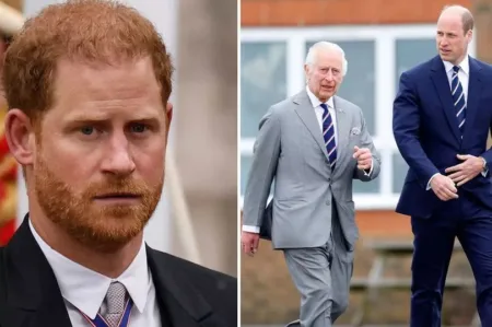 2 prince harry asked for secret meeting with king charles and william over the state of things1348222943035497648webp