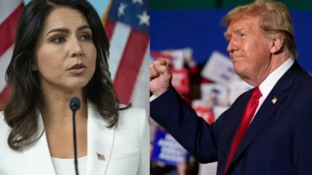 Trump Bring in Tulsi Gabbard - M10news