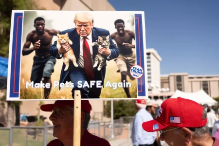 A man carries an AI generated image of former US President Donald Trump carrying cats away from Haitian immigrants