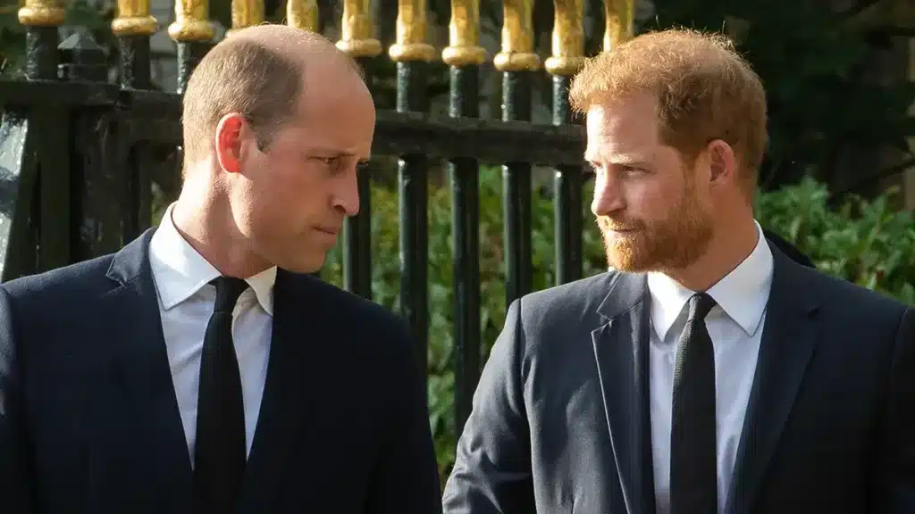 prince william prince harry M10news