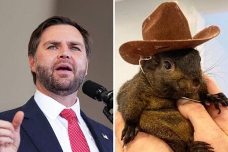 Ohio Senator JD Vance Donald Trumps running mate is seen in Sanford North Carolina on November 3 PNut a social media famous squirrel is seen in Pine City New York The decision of New York wildlife