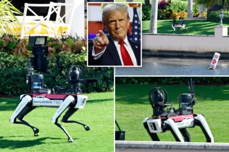 President elect Donald Trump survived two assassination attempts while campaigning this year