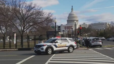 A person is in police custody after reportedly driving a vehicle onto a grassy area near the US Capitol Building on Jan 2 2025 7News