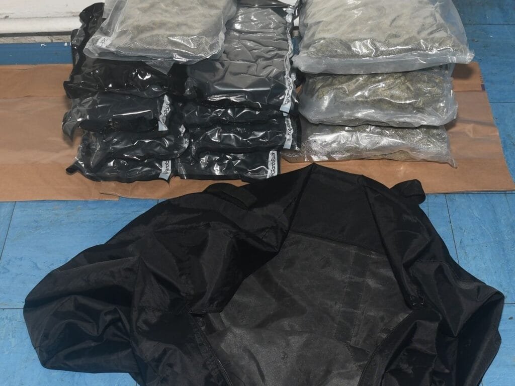 Some of the drugs seized yesterday