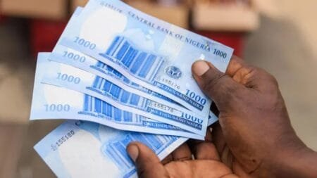 Image source,Getty Images Image caption,Investors were attracted by the promise of high interest rates