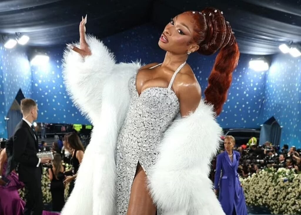 Megan Thee Stallion: Getty images