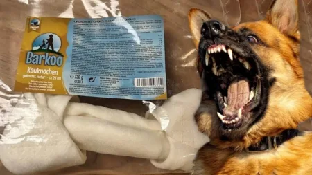 The FSA said the chews can elicit alarming symptoms including panic attacks, aggression, spasms, epileptic fits and in some cases death (Picture: Food Standards Agency)