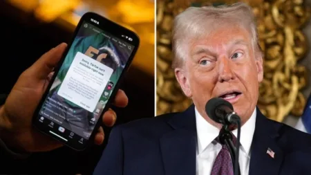 TikTok was banned over national security concerns regarding its Chinese ownership (Picture: AP/EPA)