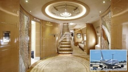 Top left, the plane at Palm Beach airport and below, the interior (Pictures: Reuters/AFP/AMAC Aerospace)