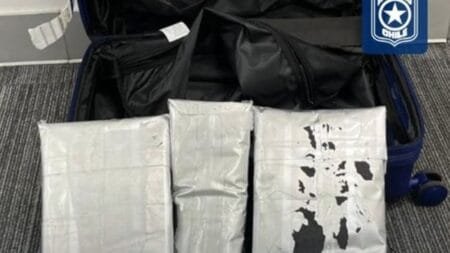 Chilean customs officers released pictures of the four packages they had confiscated (Picture: Aduanas de Chile / Shutterstock)