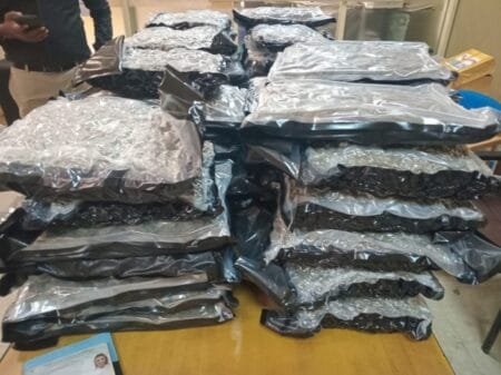 Huge quantities of kush, a synthetic form of cannabis, were found in two large suitcases