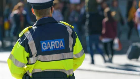 Politician was arrested on Friday and later released. File image. Photograph: Bryan O’Brien